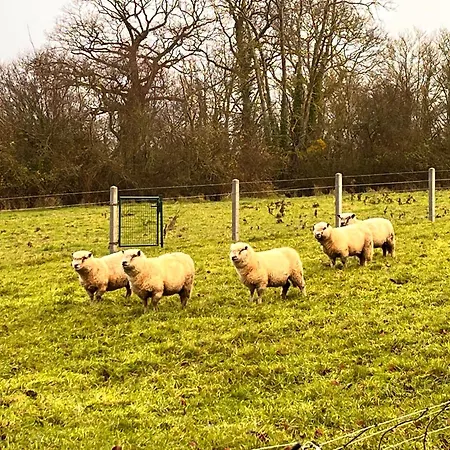 Le Mont Roty - 15min Deauville - 15p Saint-Étienne-la-Thillaye