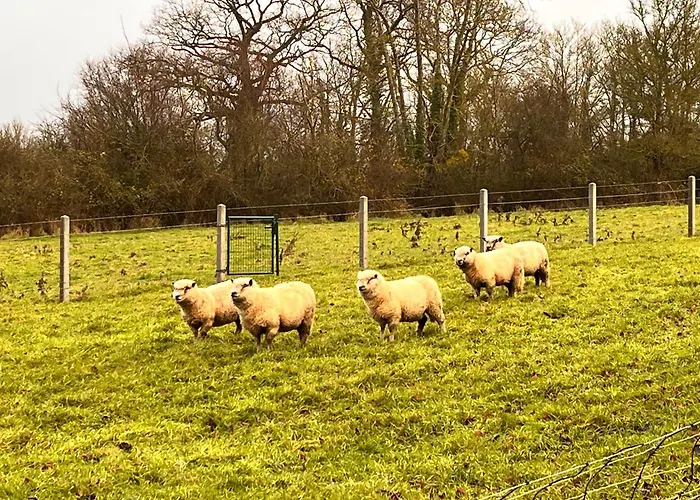 Le Mont Roty - 15min Deauville - 15p Saint-Etienne-la-Thillaye